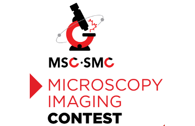 Winners of the Imaging Contest