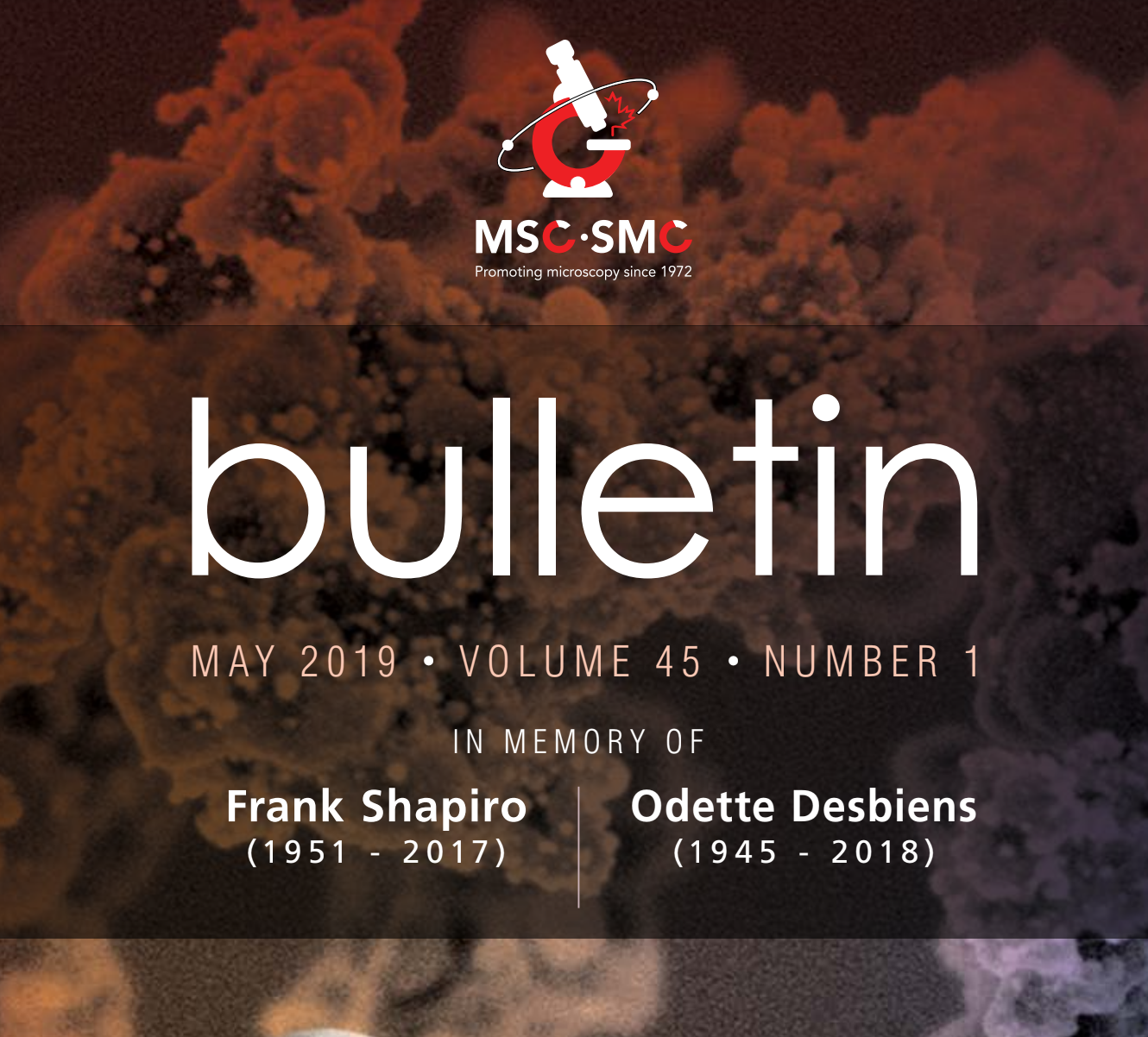 MSC bulletin Vol. 45, No.1, May 2019